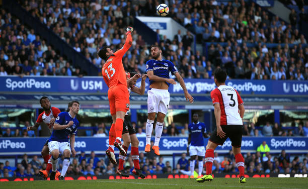 滑队在世界 滑队在世界