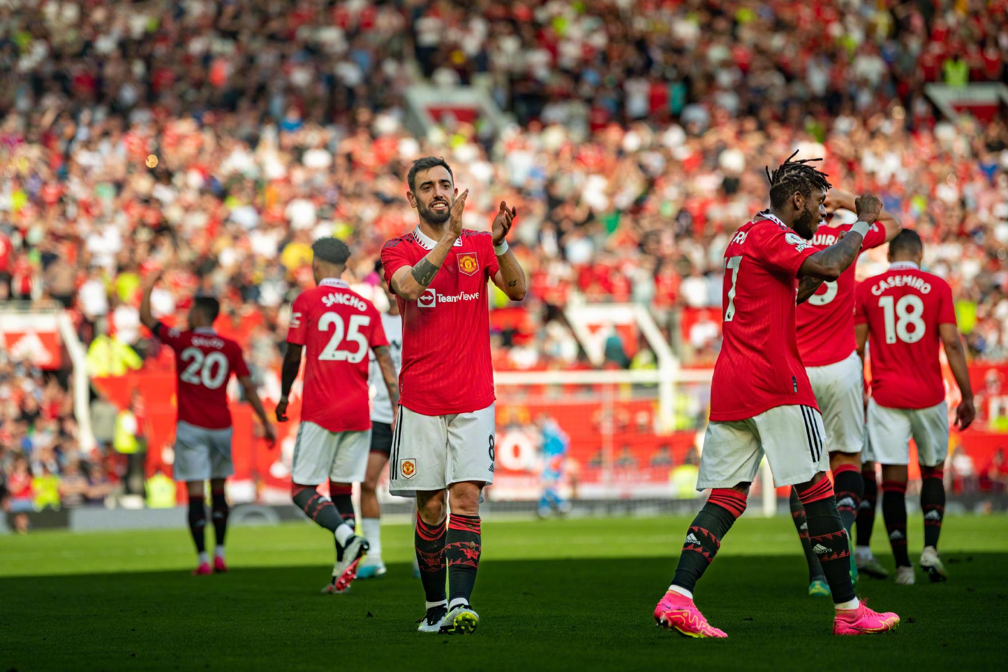 比利時主帥 比利時主帥